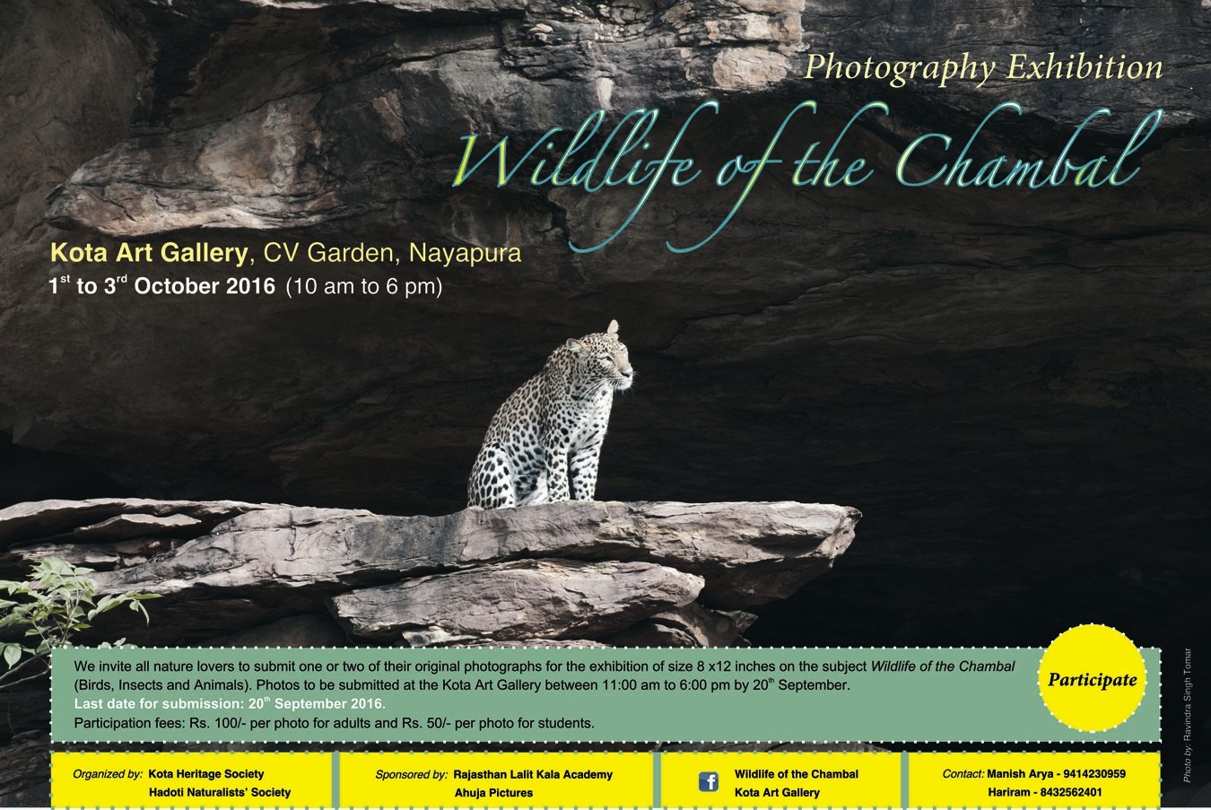 ----click to enlarge----